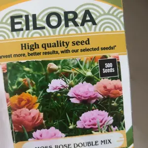 500 BUTIR BENIH BUNGA MOSSE ROSE PORTULACA IMPORT