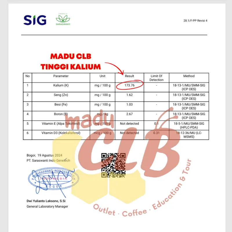 Madu CLB 5kg Paket Usaha Madu Murni Kadar air 17% Untuk Maklon, Industri, Pabrik 5