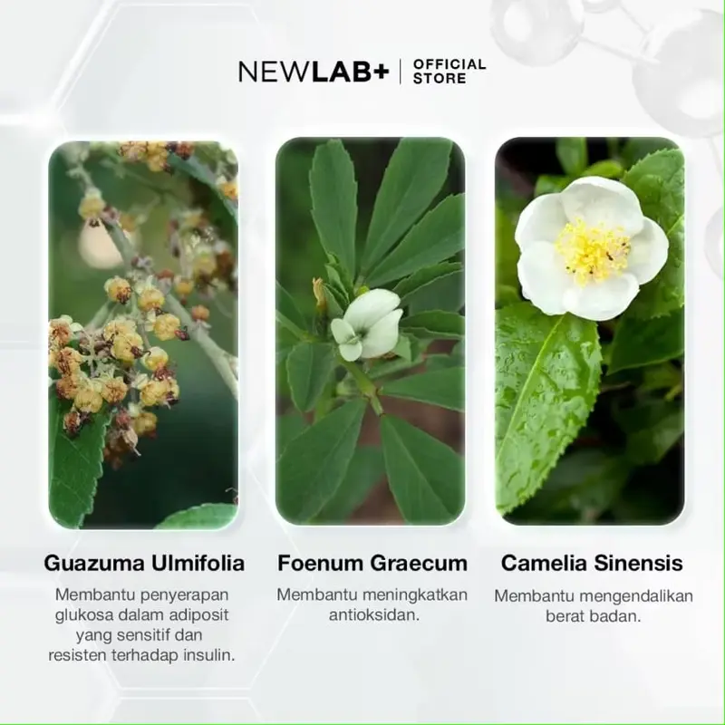 NEWLAB Fitlogy Tea Drink 14 Tea Bags /28 Tea bags 2