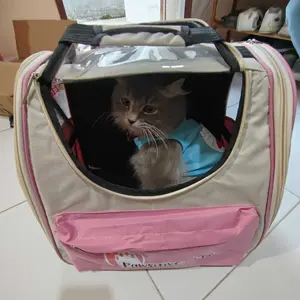Pawsitive Official Pet Travel - Tas Ransel Kucing Anjing - Tas Travel Hewan Peliharaan - Tas Kucing Jumbo - Tas Astronot Hewan untuk Kucing Anjing  - Pet Cargo Kucing Anjing blacan  kucing