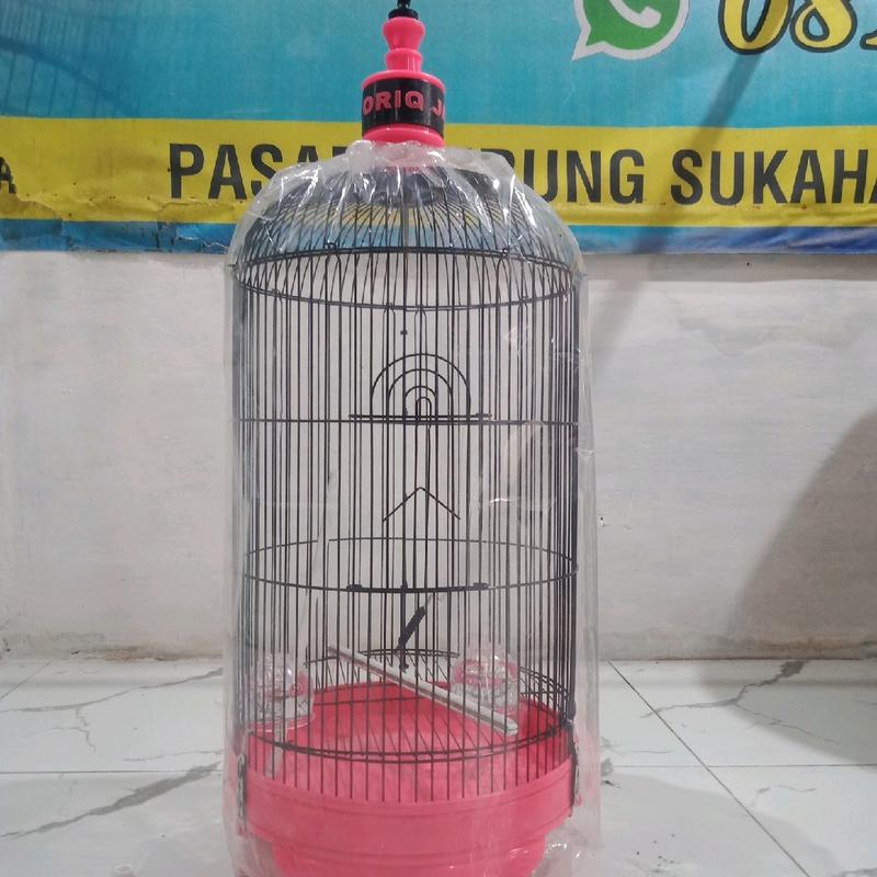 sangkar levebird oriq jaya vpc poloss bahan tebel ukuran lebar 33x33cm pengiriman seruruh indonesia 4
