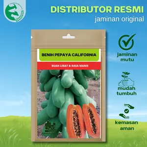 Benih Pepaya California Madu Unggul 1 gram 50-60 an Biji Urban farming Buah Lebat Rasa Manis