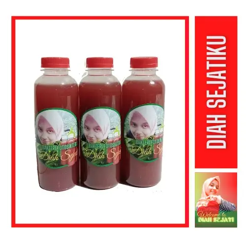 Bakteri Fotosintesis Plus Nutrisi Prebiotik & Probiotik