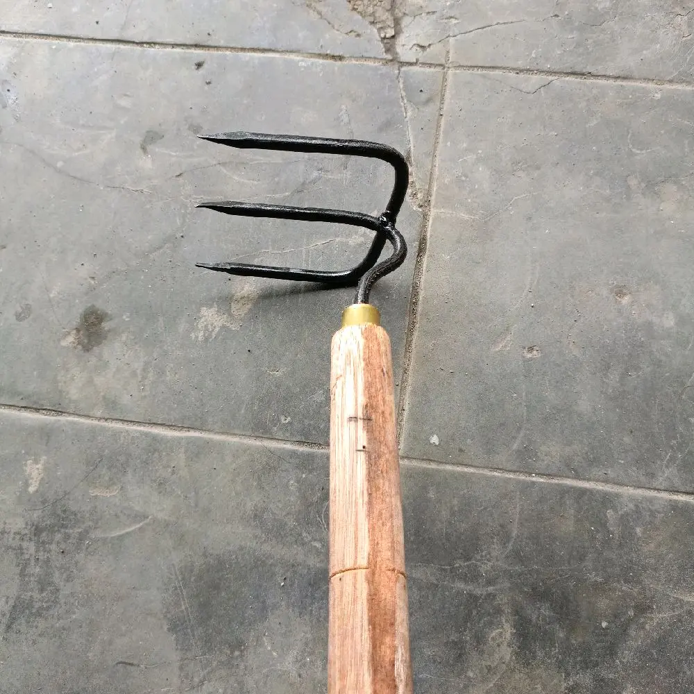 Garuk sampah - garuk rumput - garuk batu