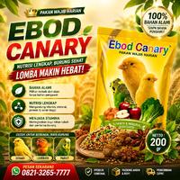 Gambar Makanan Burung EBOD CANARY Harian Wajib Burung Kenari Vitamin Lengkap dari Seputar Burung Indonesia Kab. Sukoharjo 1 Tokopedia