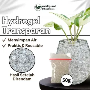 Workplant - Hydrogel (Water Beads) Transparan Media Tanam Hidroponik Tanaman Hias Warna Transparan