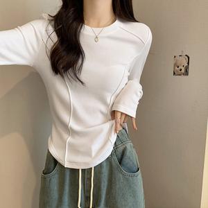 Women's Long Sleeve Fitted Mock Neck Top, Fall Winter Casual Basic Layering Tee, Comfortable Stylish Design 7281#