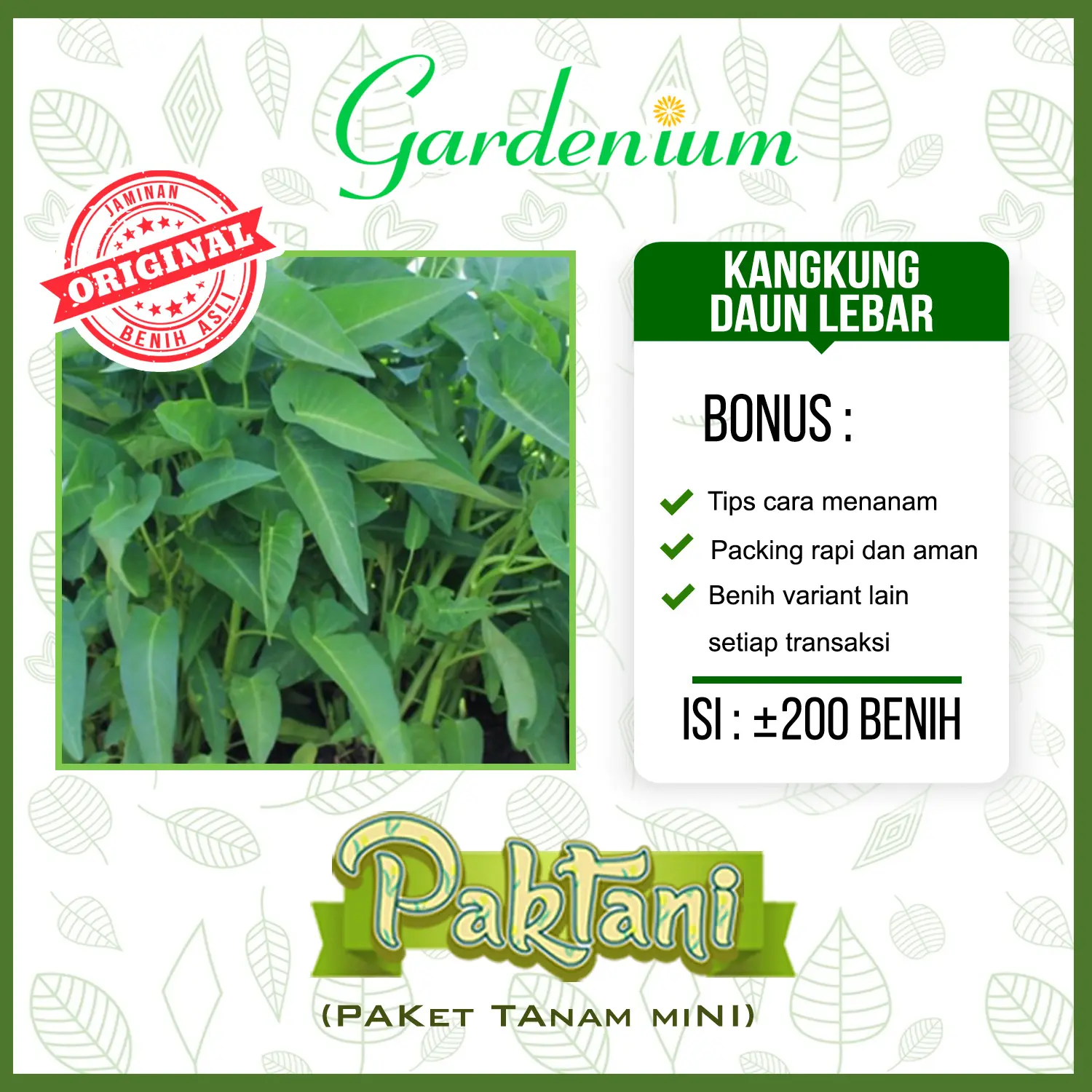 200 Benih Kangkung Daun Lebar Sayuran Unggul Paktani
