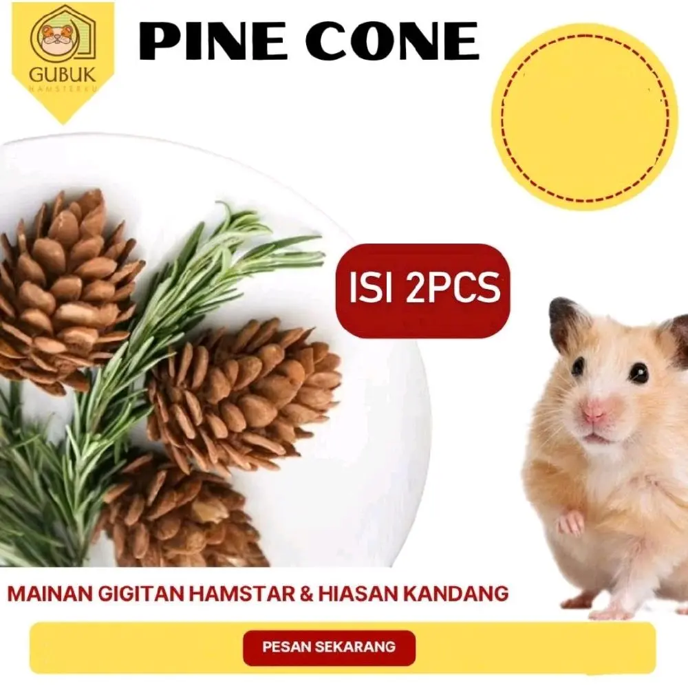 PINE CONE MAINAN GIGITAN HAMSTER || HIASAN KANDANG HAMSTER