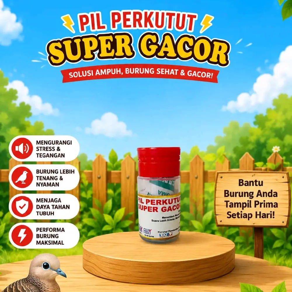 PIL PERKUTUT SUPER GACOR VITAMIN PENGGACORAN PERKUTUT HERBAL