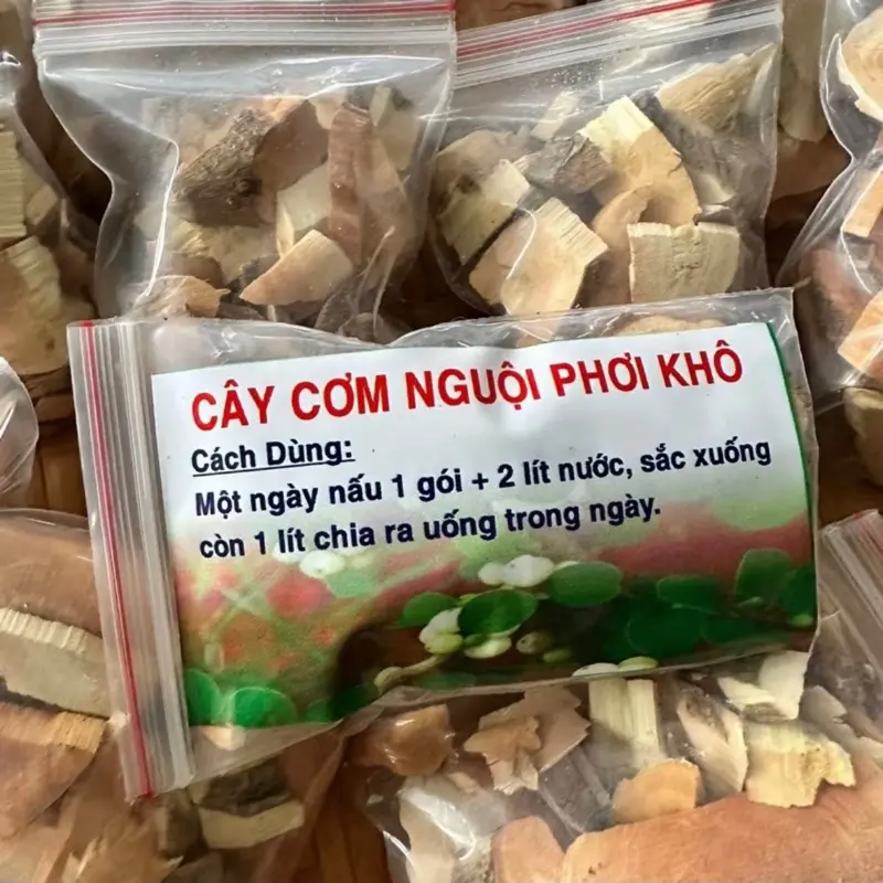 CÂY CƠM NGUỘI PHƠI KHÔ (Liệu trình 15 gói dùng 15 ngày)