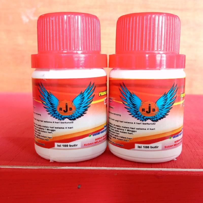 RJB UNTUK MERPATI KOLONG BEBAS 0