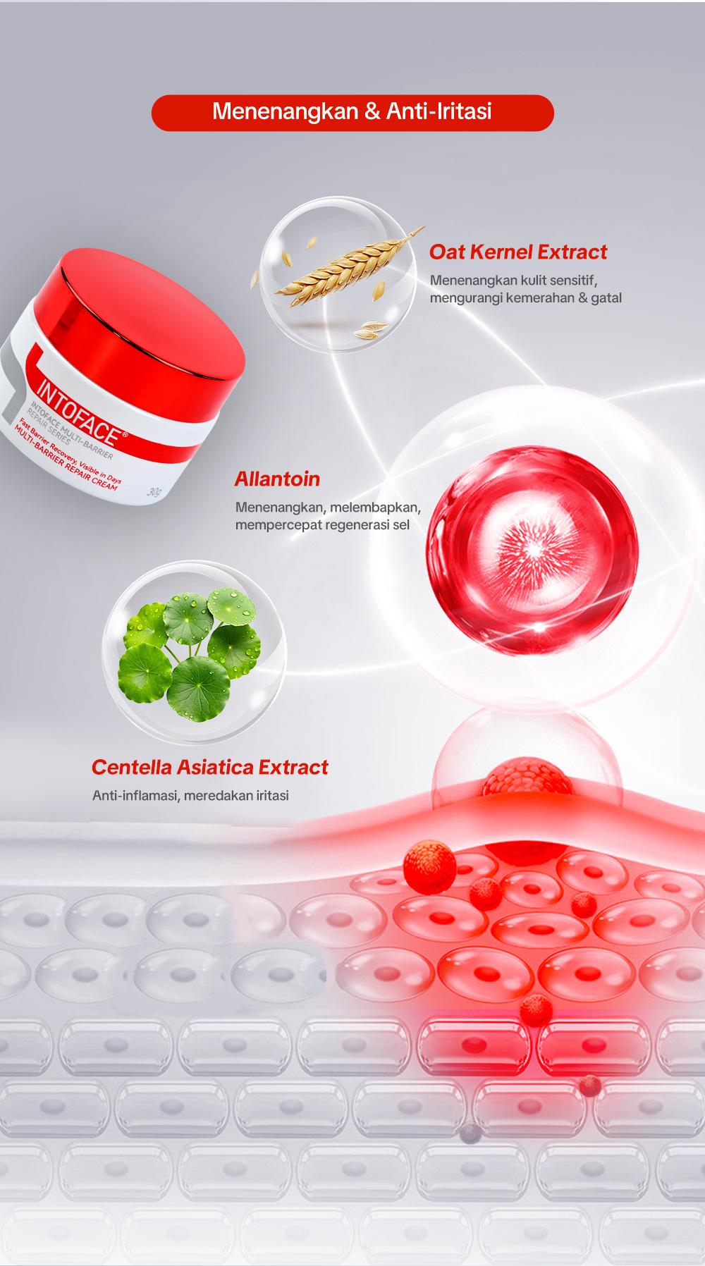 INTOFACE Multi-Barrier Repair Cream｜Atasi Kulit Kering & Sensitif ｜Redakan Kemerahan & Gatal Instan｜Hypoallergenic & 0% Iritasi Wajah Facial