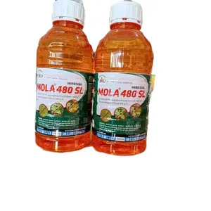 Herbisida sostemik MOLA 480 SL efektif kendalikan gulma berdaun lebar dan sempit