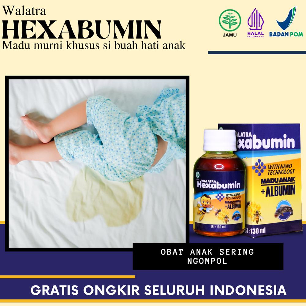 Hexabumin Madu Anak Mengatasi Anak Sering Ngompol, Sering Buang Air Kecil, Kencing Terus Menerus, Anak Sering Ngompol Tengah Malam Atasi Dengan Madu Hexabumin HALAL BPOM