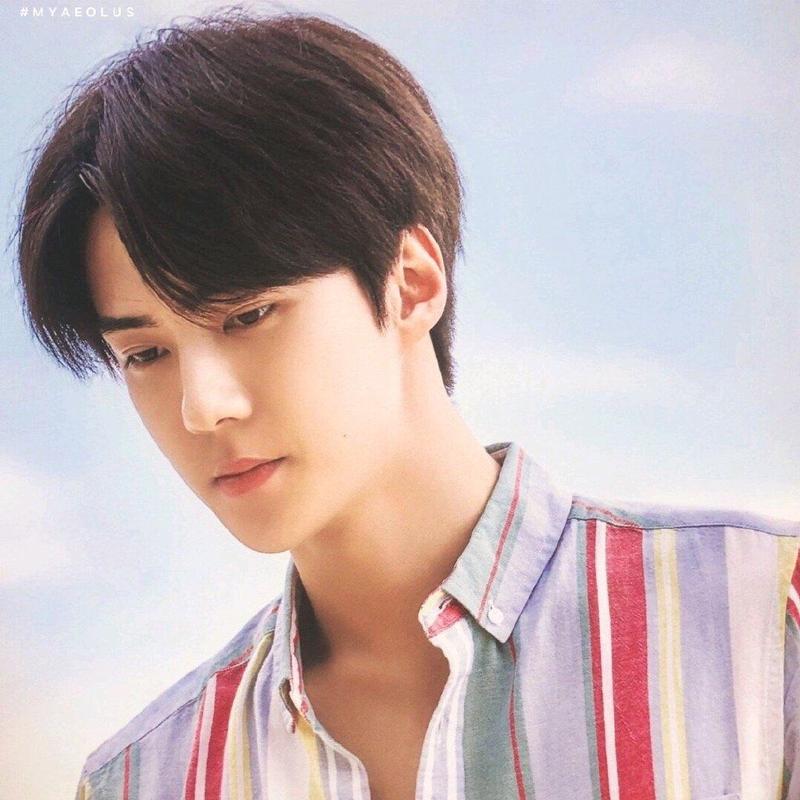 Wig Pria Pendek Korea Belah Tengah / Rambut palsu Pria Gaya Oppa Korea 5
