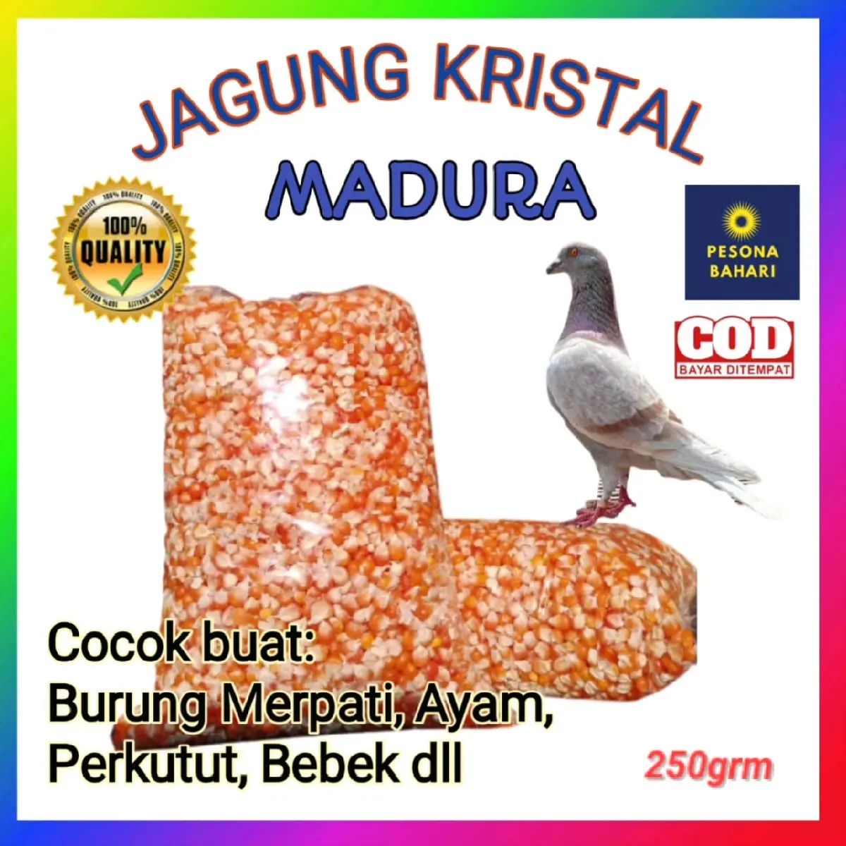 JAGUNG KRISTAL  PAKAN BURUNG DARA, MERPATI, AYAM, HAMSTER DLL