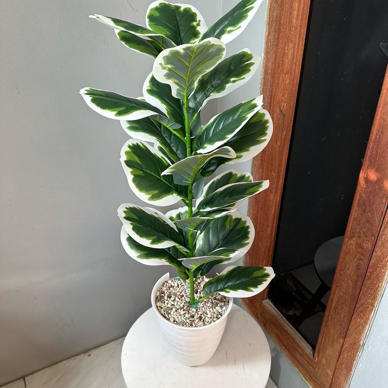 TANAMAN ARTIFICIAL KETAPANG  PUTIH 23DAUN(sudah+pot) 1