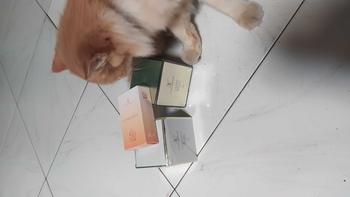 Product Review of CHALONESE Paket Skincare Sunscreen Cream Moisturizer BPOM ( Sunscreen SPF 50Pa+++ + Day & NIght Cream) Pelembab Wajah Anti-UV Facial Hitam from T**y 2