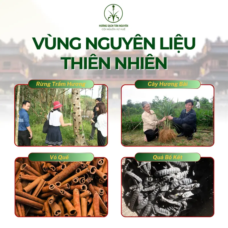 [TẶNG LƯ XÔNG GỐM] Nụ Trầm Hương Tân Nguyên Hộp Nắp Nhôm 40 Viên, Trầm Sạch Huế Nguyên Chất Tự Nhiên OCOP 4 Sao - Thơm Tự Nhiên, Thư Giãn, Xông Phòng, Dùng Cúng, Thiền, Khử Mùi, Thanh Lọc Không Khí, Dễ Ngủ, Tĩnh Tâm, Khử Ẩm Mốc, Dầu Thơm Phòng 4