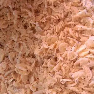 ebi/udang rebon/kecepe Kering Masakan