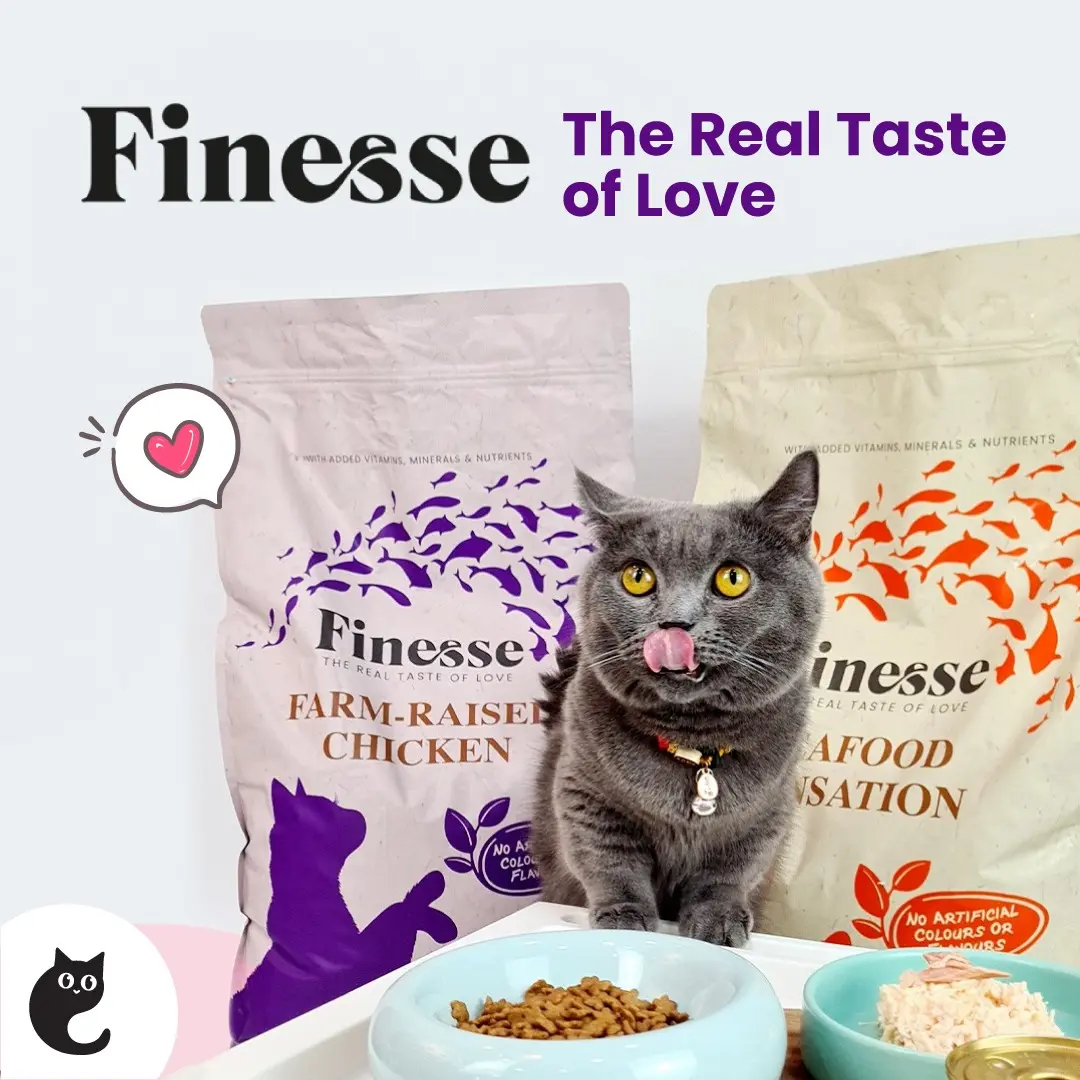 Finesse Cat Dry Food Farm-Raised Chicken & Seafood Sensation 1.5kg (6 bags)