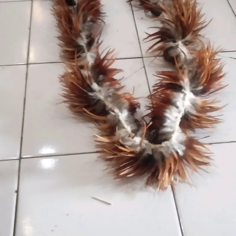 bulu ayam asli harga permeter. 0
