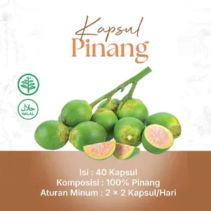 KAPSUL BUAH PINANG | JAMU HALAL | HERBAL