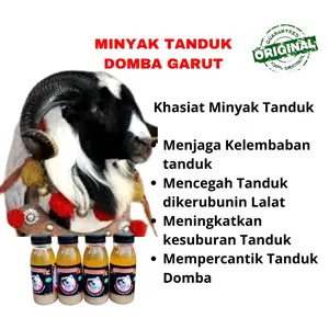 Minyak biawak| Penyubur dan Penumbuh Tanduk Domba Garut 60ml