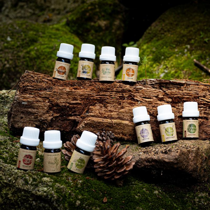  Tinh dầu thơm phòng tinh dầu thiên nhiên nguyên chất 5ml 