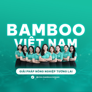 VTNN BAMBOO