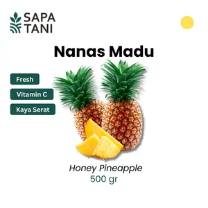 Sapatani Nanas Madu 500gr Buah Manis & Segar