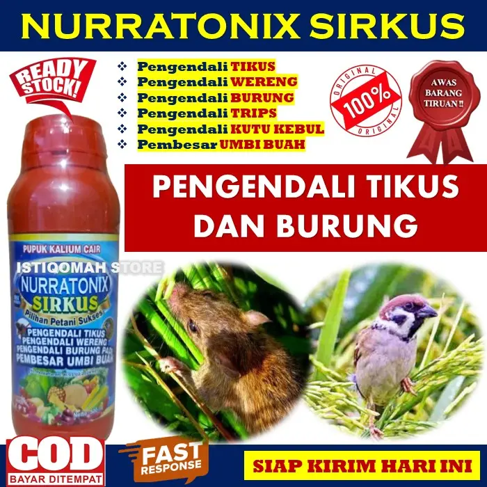 Pupuk Cair NURRATONIX SIRKUS Obat Semprot Pengendali TIKUS, Pengendali Burung Padi, Tidak disukai WERENG, Obat Pengusir Lalat Buah - Obat Semprot Hama Tikus dan Burung Pipit Padi Sawah - Obat Pembasmi & Pengusir Tikus Burung Pipit Paling Ampuh Murah