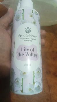 Product Review of Parfum Laundry Premium Penatu Home - Lily Of The Valey 250ML from N**a 1