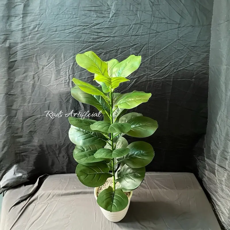Ketapang x23 artificial pot pirus