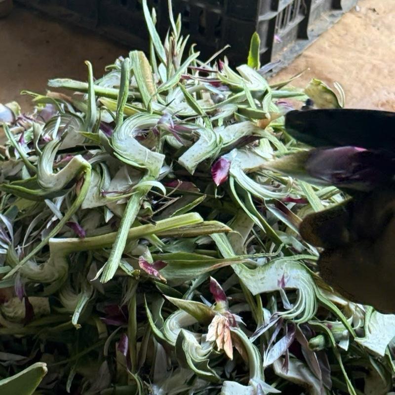  Bông hoa atiso khô 350 gam 