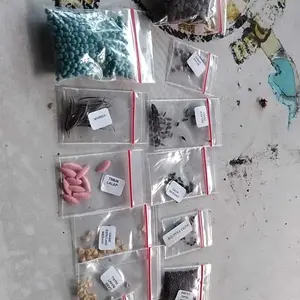 Paket Hemat 13 Macam Benih Sayuran Isi Terbanyak - Benih Sayuran Sawi Benih Bayam Bibit Berkebun Kangkung Kemangi Pakcoy Putih Selada Merah Seledri Terong Hijau Timun Tomat