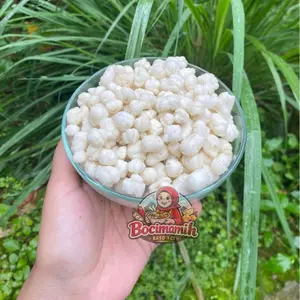 Pilus Cikur 500gr/1kg - Topping Seblak, Cuanki, Boci, Mudah Dibawa