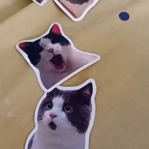 Lucu 50PCS Paket emotikon kucing DIY Stiker Tahan Air Cocok untuk Helm/Koper/Botol/Laptop/Buku Harian/Buku/Cangkang Ponsel/Skateboard/Kulkas/motor/Bumper/Tempat Pensil