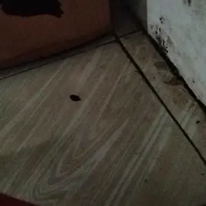 25 Pcs Mandi Bola Kecil/Mandi Bola Warna Warni kecil Anak-Anak