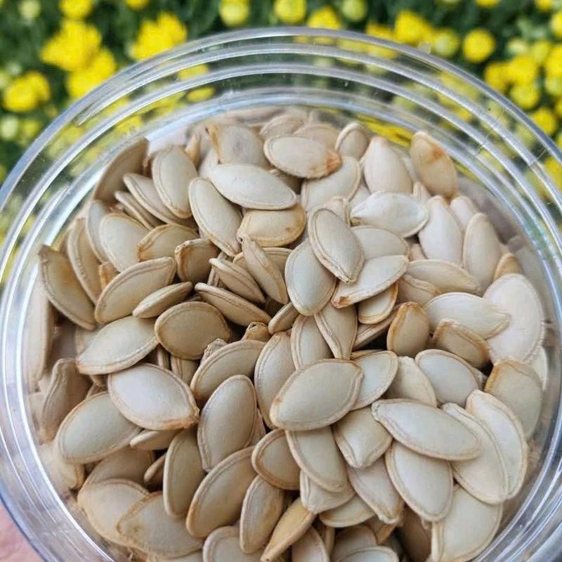 500gr hạt bí trắng rang củi