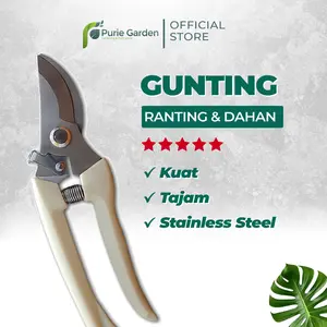 Gunting Prunning Alat Potong Dahan Dan Ranting Tanaman Stek