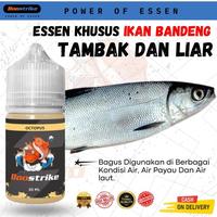 Gambar Essen Ikan Bandeng Tambak Rame dan Babon | Essen Boostrike dari ESSEN BOOSTRIKE_NEW Kota Tasikmalaya 1 Tokopedia