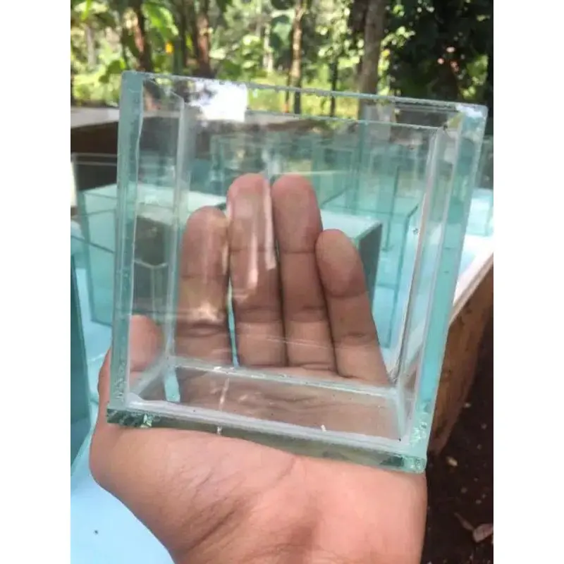 soliter mini/akuarium mini ikan cupang 10x6x10cm/1pcs