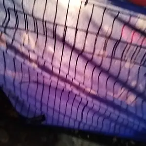 12pcs tempat pakan ayam jago / wadah pakan ayam / cepuk tempat pakan ayam