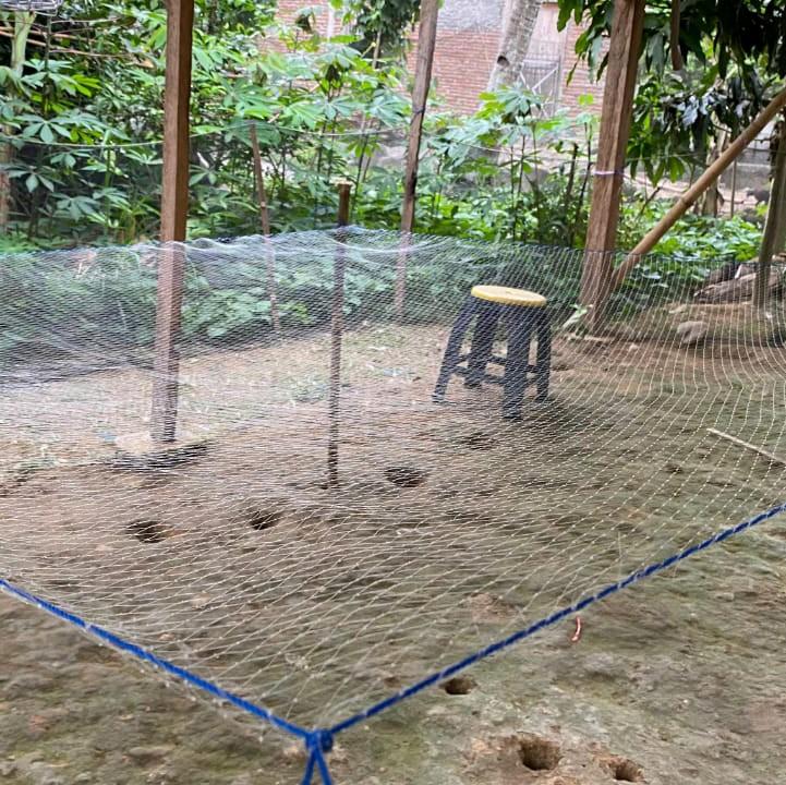 Jaring Anco Penangkap Ikan Tradisional Lubang 1 1/4 Inchi Senar 0,28 - Ukuran 2x2 Meter 5