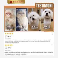 Gambar Multivitamin Skin & Coat + Immune Booster VCO 100ml - 100ML dari Caesar JacO Kota Administrasi Jakarta Barat 5 Tokopedia