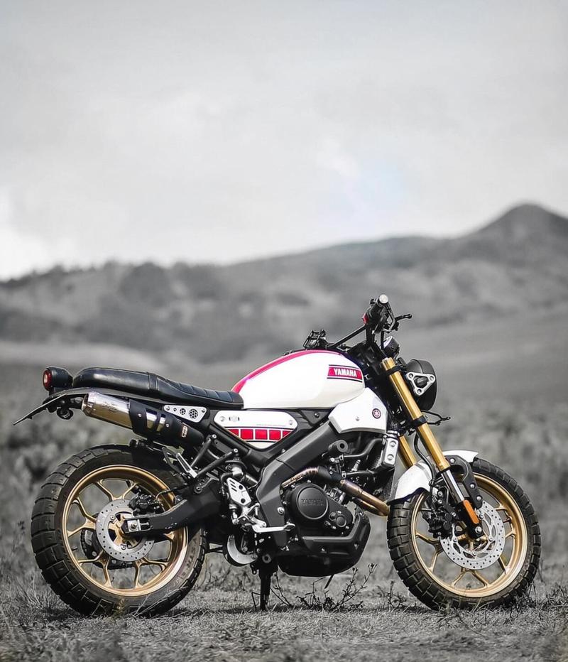 Product Introduction of Knalpot Scrambler PNP XSR155 Original Spartans Muffler 1