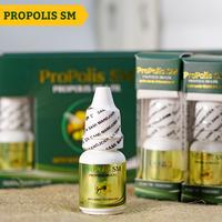 Gambar Propolis Sm Atasi kaki rayapan Pitted Keratolysis, Telapak kaki berlubang bolong dan bau Gatal dari Zubair Healty Kota Administrasi Jakarta Pusat 3 Tokopedia