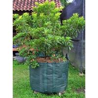 Gambar Planter Bag 400 Liter Easy Grow - Hijau dari Easy Grow_NEW Kab. Gunungkidul 1 Tokopedia